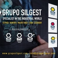 Silgest Dirección Empresarial S.L.