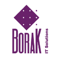 Borak Desarrollo SL